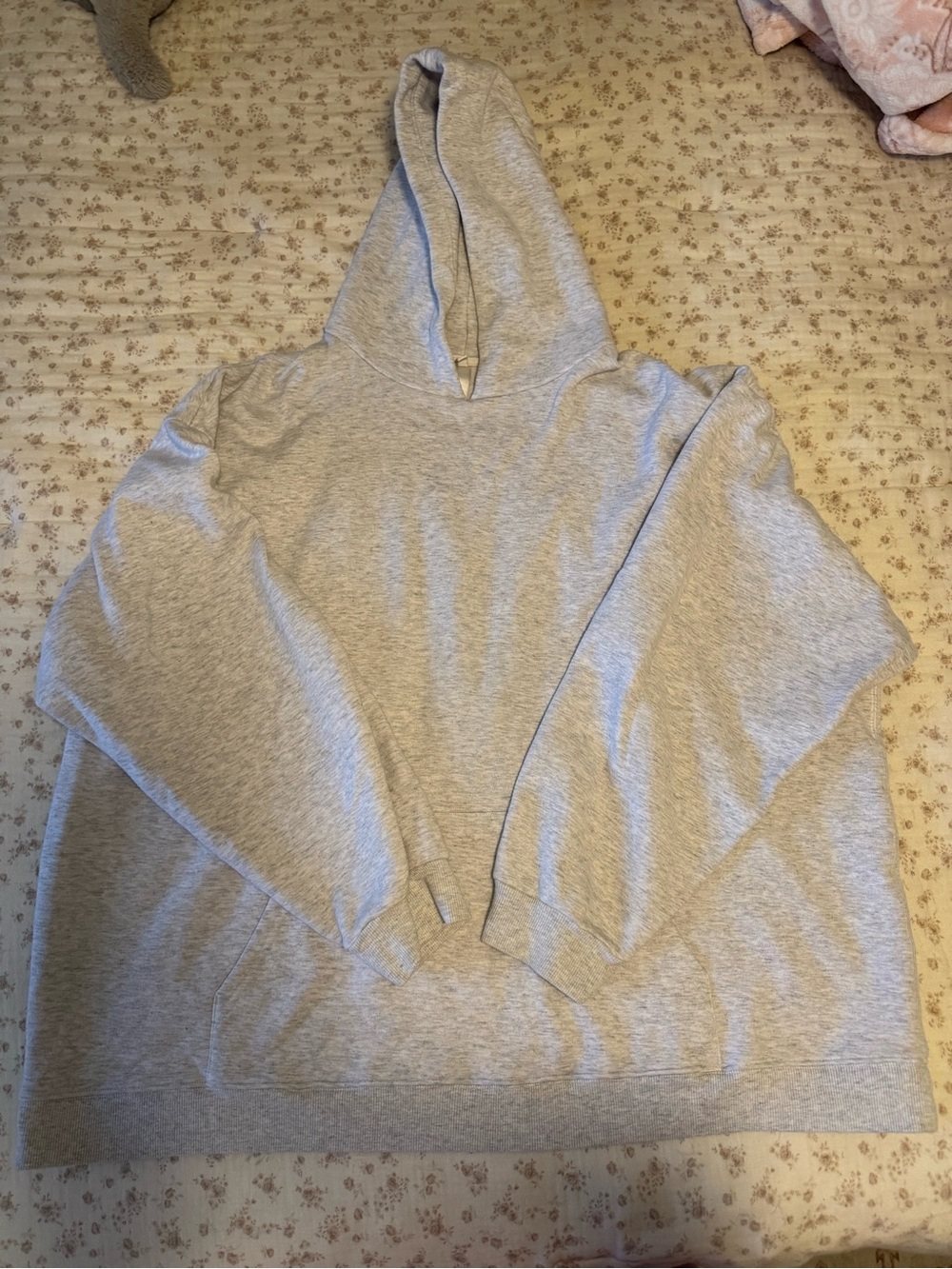 Skims Oversized Hoodie
